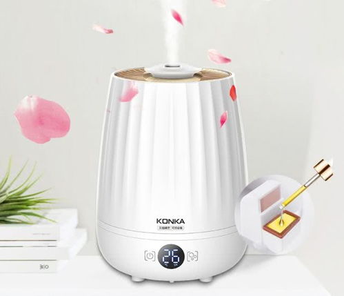 智加設(shè)計(jì)干貨分享 盤點(diǎn)常見(jiàn)小家電與塑料日用品的創(chuàng)新設(shè)計(jì)
