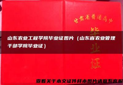 山東農(nóng)業(yè)工程學(xué)院畢業(yè)證 見證轉(zhuǎn)型與成長(zhǎng)的文化符號(hào)